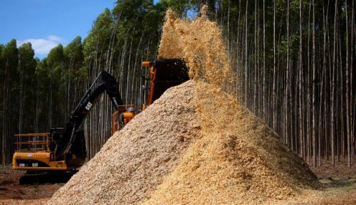 Confira nossos Produtos